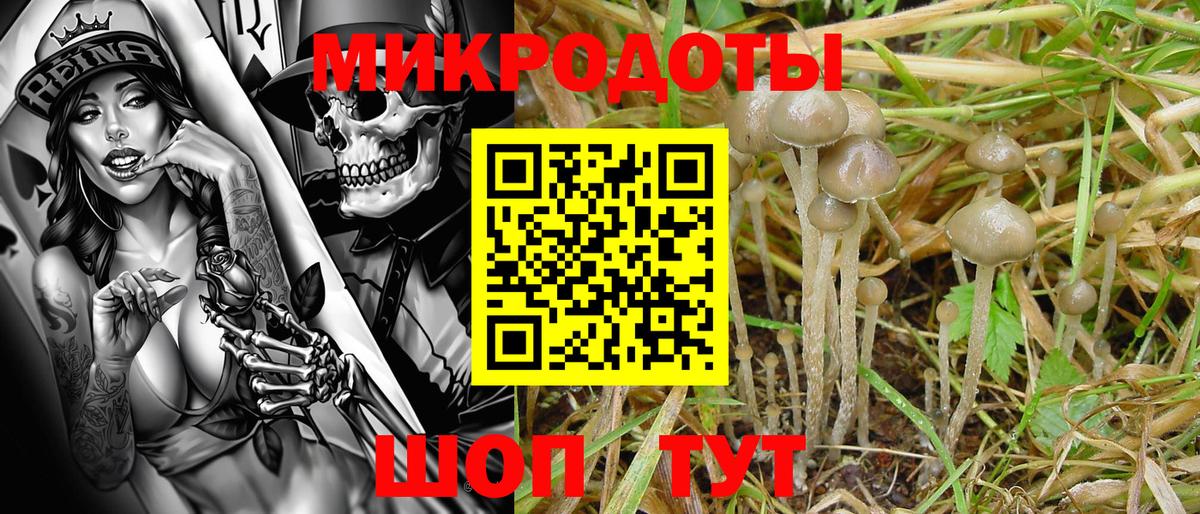 Псилоцибиновые грибы прущие грибы  Вход с VPN  Ачхой-Мартан 