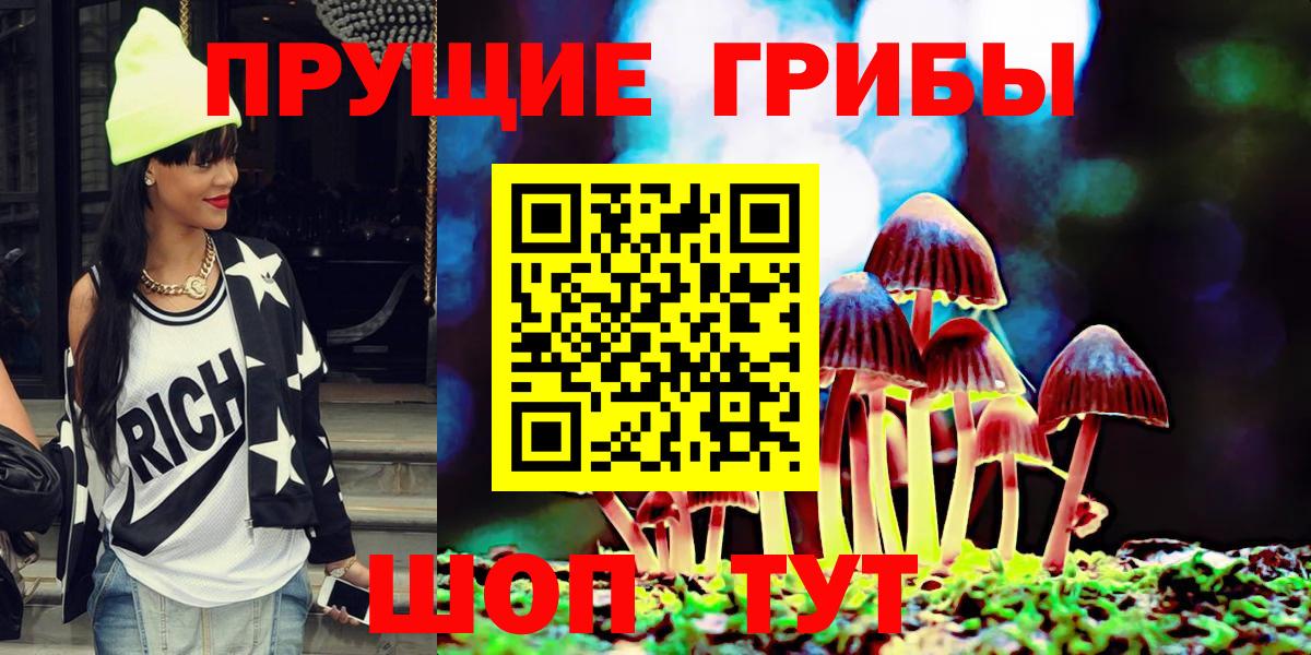 Псилоцибиновые грибы Cubensis Ачхой-Мартан